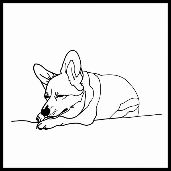 Plakat 50x50cm Śpiący Corgacz zdjęcie 2