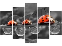 product-compare-58696693