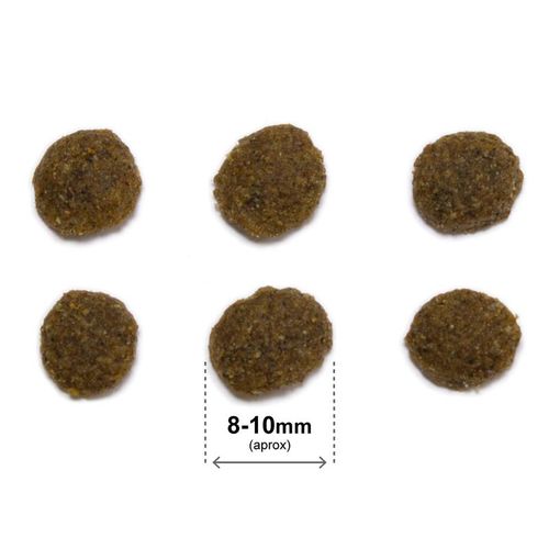 ARQUIVET CAT Original dla kotów sterylizowanych łosoś z ryżem 1,5 kg na Arena.pl