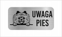 GRAWER Tabliczka nierdzewna 20x10 UWAGA PIES pomeranian szpic miniaturowy