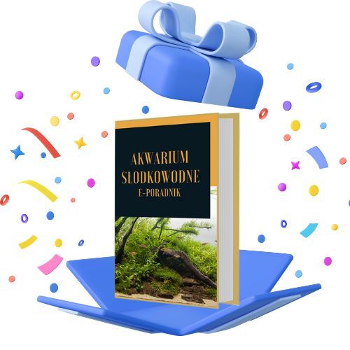 PĘSETA ZAGIĘTA DŁUGA 48CM DO PIELĘGNACJI ROŚLIN na Arena.pl