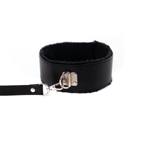 Collar With Detachable Leash na Arena.pl