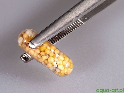 Planta Gainer Caps 10 szt. na Arena.pl