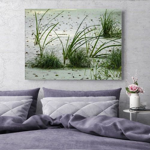 Obraz na płótnie - Canvas, Trawy na plaży 60x40 na Arena.pl