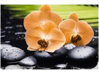 60X40CM STORCZYK POMARAŃCZOWY OBRAZ