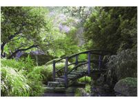 OBRAZ SECRET GARDEN MOST OGRÓD JAPONIA KOLORY
