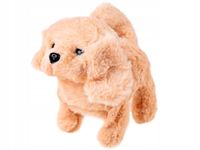 product-compare-60586857