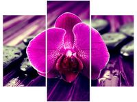 70 90CM OBRAZ 3 ELEM FIOLETOWE SPOJRZENIE ŚCIENNY PŁÓTNO