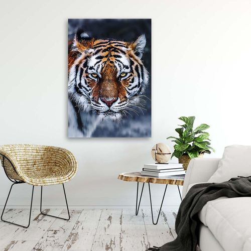 Plakat, Tygrys 40x60 na Arena.pl