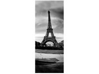 40X100CM CITROEN 2 OBRAZ PION