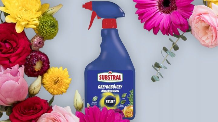 SAPROL GRZYBOBÓJCZY środek KWIATY: ZWALCZA CHRONI zdjęcie 9