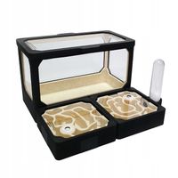 Formikarium AVERAGE M - Terrarium Dla Mrówek Modułowe 140x140