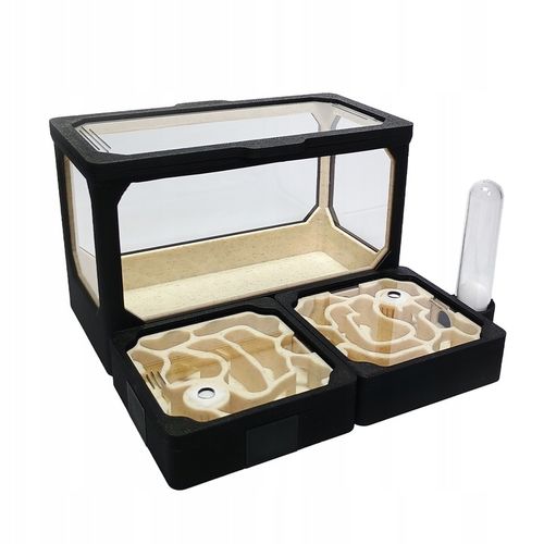 Formikarium AVERAGE M - Terrarium Dla Mrówek Modułowe 140x140 na Arena.pl