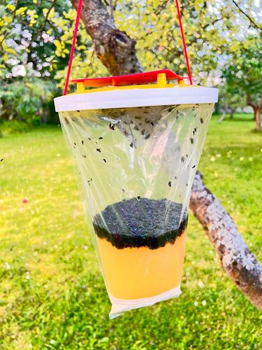 bros - worek na muchy na Arena.pl