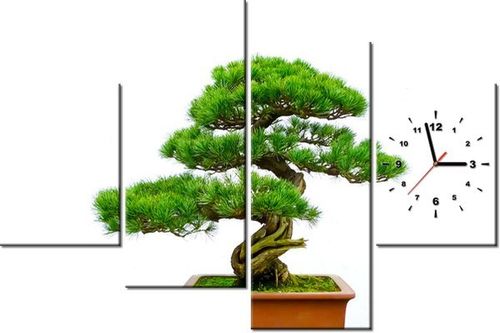120CM 80CM ZEGAR 4 ELEM BONSAI OBRAZ ŚCIENNY na Arena.pl