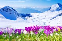 product-compare-62141441