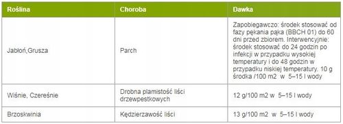 Preparat grzybobójczy SYLLIT Parch Jabłoń Grusza wiśnie czereśnie 65 WP 45g na Arena.pl