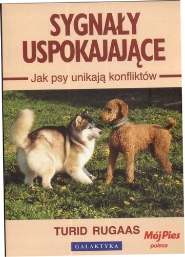 Sygnały uspokajające. Jak psy unikają konfliktów na Arena.pl