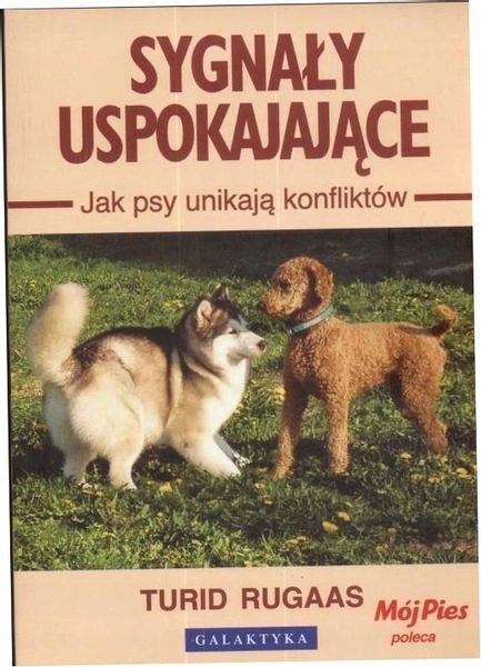 Sygnały uspokajające. Jak psy unikają konfliktów zdjęcie 4