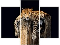 OBRAZ DZIKI KOT LAMPART