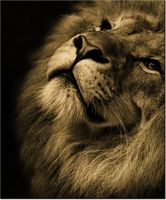 product-compare-58656844