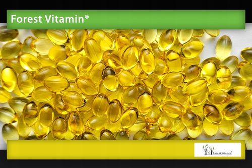 MOCNY OLEJ Z NASION WIESIOŁKA GLA 9% LA 85% + WITAMINA E 180 kapsułek na Arena.pl