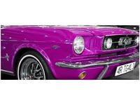 100X40CM RÓŻOWY MUSTANG OBRAZ DREWNO