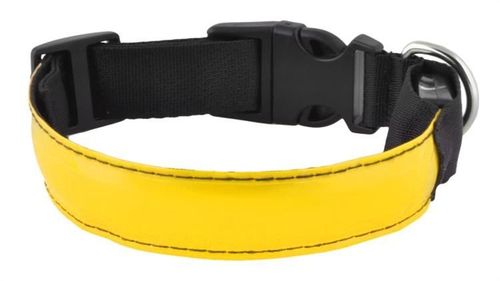 Obroża LED żółta - M na Arena.pl