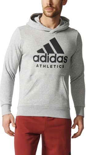 Bluza męska ADIDAS SID BRANDED P/O S na Arena.pl