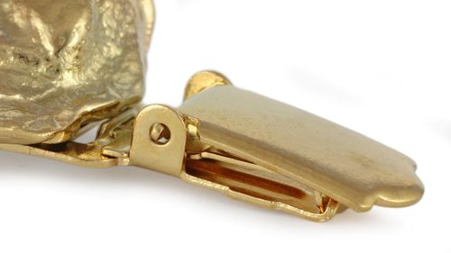 Boston Terier - klips - 1017 na Arena.pl