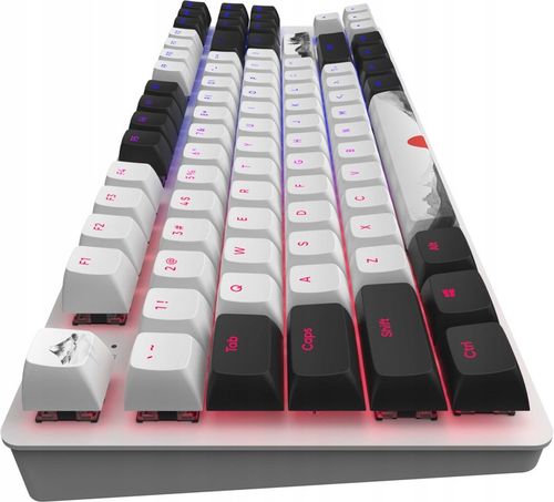 Klawiatura DARK PROJECT DPO87 Fuji na Arena.pl