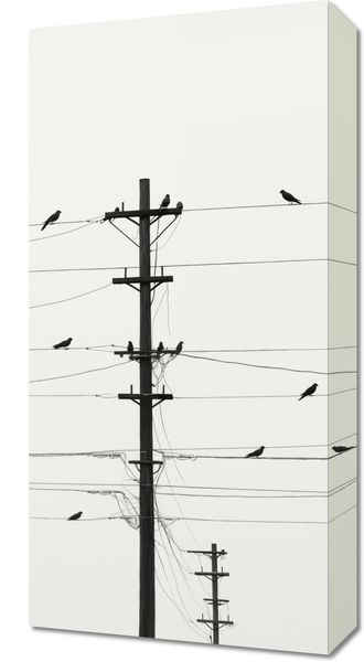 Obraz 30x60cm Symfonia na Drutach zdjęcie 1