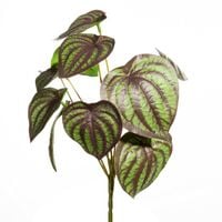 Kwiat sztuczny dekoracyjny peperomia NATU zielono brązowy x6