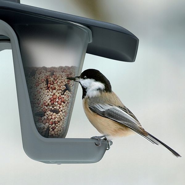 Karmnik dla ptaków - Birdyfeed double zdjęcie 10