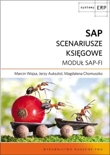 SAP. Scenariusze księgowe. Moduł SAP-FI zdjęcie 1