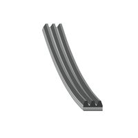 Pasek wielorowkowy Lexus RX V 2023 2024 2025 2026