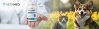 PROBIOTYK dla PSA I KOTA Prebiotyk VETAMED Probiotic 60 kapsułek + GRATIS