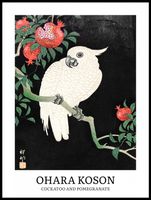 Plakat 60x80cm Design Cockatoo, Koson Vintage do Salonu
