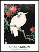 Plakat 60x80cm Design Cockatoo, Koson Vintage do Salonu