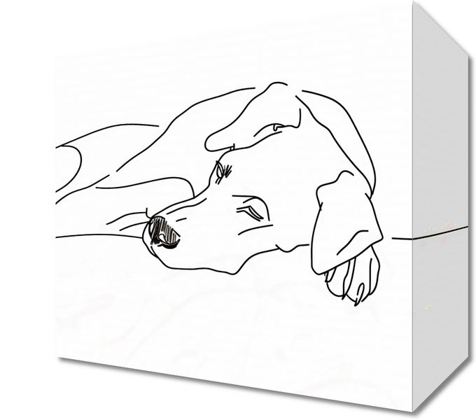 Obraz 20x20cm Wypoczynek Psiaka zdjęcie 1