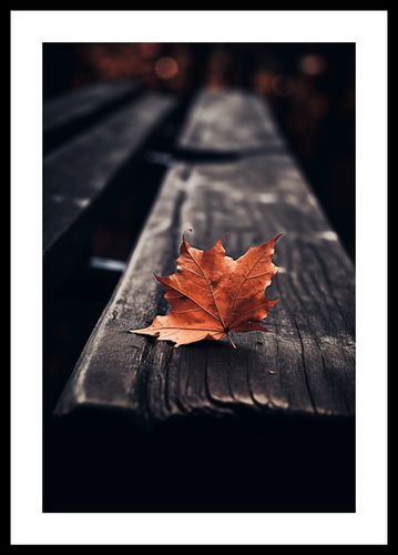 Plakat 30x45cm Pojedynczy Liść na Arena.pl