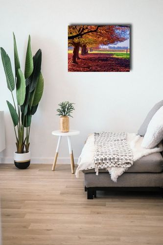 Kolorowy Krajobraz - obraz na płótnie 80x60 cm na Arena.pl