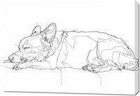 product-compare-59516870