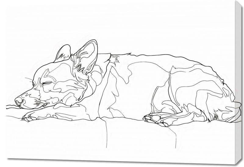 Obraz 100x70cm Śpiący Psiak zdjęcie 1