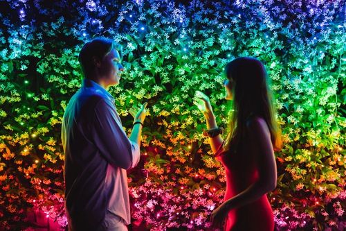 Twinkly Strings Lampki Choinkowe, Wielokolorowe, 400 Diod LED zewnątrz J391 na Arena.pl