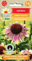 Jeżówka Green Twister Nowość Wśród Jeżówek Nasiona Wabi Pszczoły Motyle0,3G