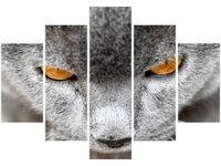 105CM 150CM OBRAZ 5 ELEM KOCUR JENNY DOWNING DRUK