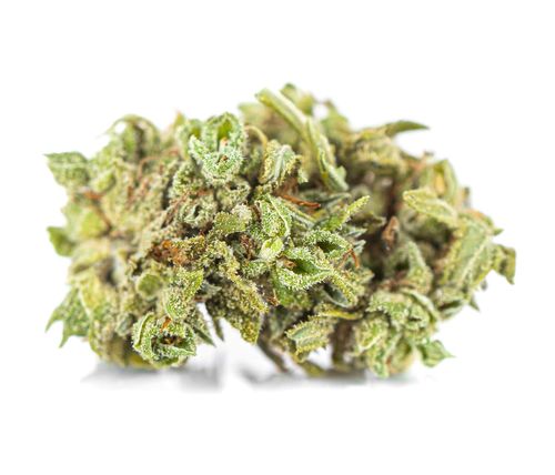 Susz konopny CBD | CBG | Silver 1 g na Arena.pl