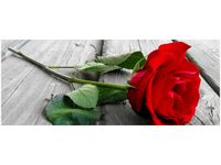 OBRAZ RED ROSE