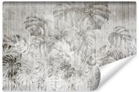 Fototapeta Do Salonu ABSTRAKCJA Liście Monstery Rośliny Beton 315cm x 210cm